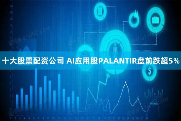 十大股票配资公司 AI应用股PALANTIR盘前跌超5%