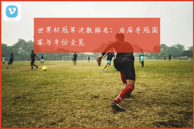 世界杯冠军次数排名:历届夺冠国家与年份全览