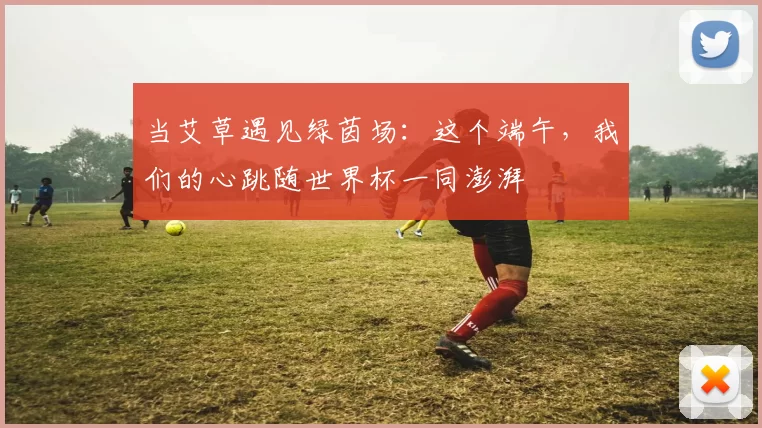 当艾草遇见绿茵场：这个端午，我们的心跳随世界杯一同澎湃
