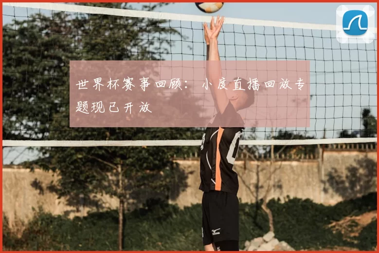 世界杯赛事回顾:小度直播回放专题现已开放