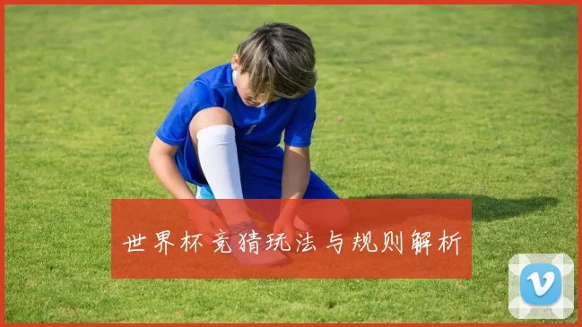 世界杯竞猜玩法与规则解析