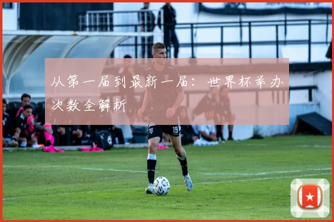 从第一届到最新一届：世界杯举办次数全解析