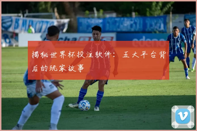 揭秘世界杯投注软件：五大平台背后的玩家故事