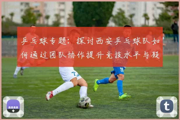 乒乓球专题:探讨西安乒乓球队如何通过团队协作提升竞技水平与凝聚力