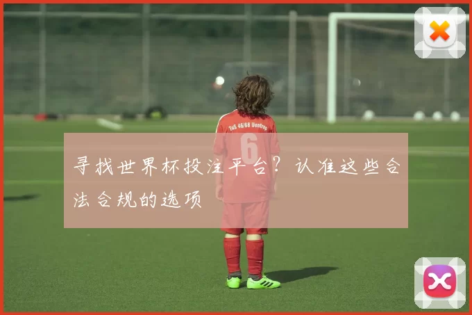 寻找世界杯投注平台?认准这些合法合规的选项