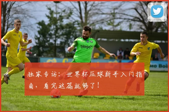 独家专访：世界杯压球新手入门指南，看完这篇就够了！