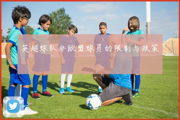 英超球队非欧盟球员的限制与政策