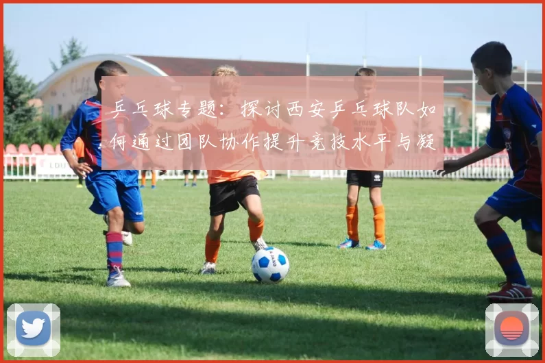 乒乓球专题：探讨西安乒乓球队如何通过团队协作提升竞技水平与凝聚力