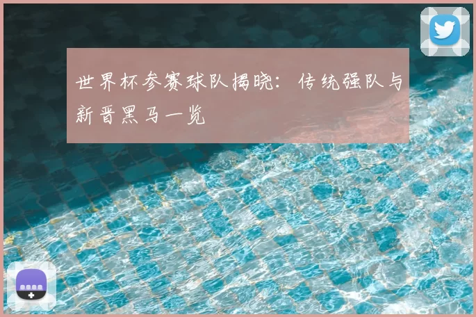 世界杯参赛球队揭晓:传统强队与新晋黑马一览