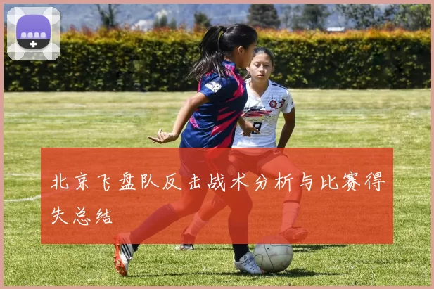 北京飞盘队反击战术分析与比赛得失总结