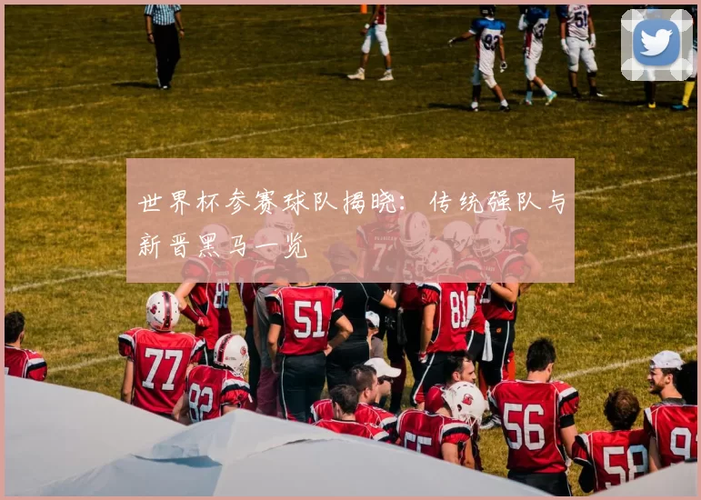 世界杯参赛球队揭晓:传统强队与新晋黑马一览
