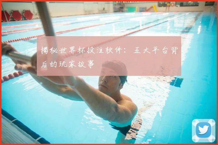 揭秘世界杯投注软件：五大平台背后的玩家故事