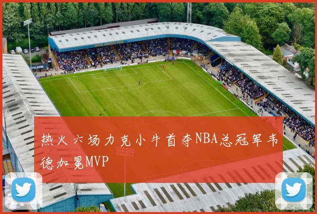 热火六场力克小牛首夺NBA总冠军韦德加冕MVP